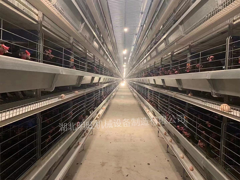 層疊式籠養(yǎng)設(shè)備