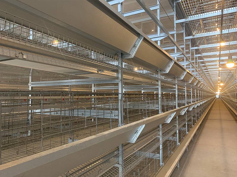 蛋雞設(shè)備日常該如何維護？明旺來告訴你